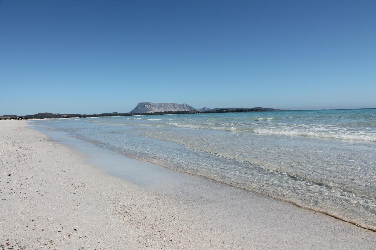 Ampia Veranda Coperta Spiaggia 1 Km Budoni Affitti Holiday home Tanaunella